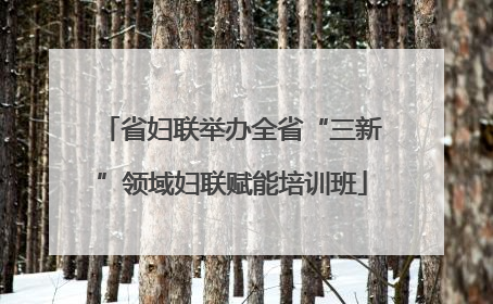 省妇联举办全省“三新”领域妇联赋能培训班